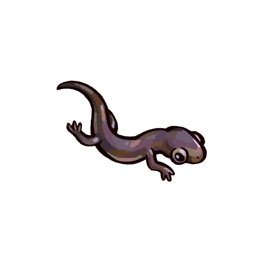 Fish Icon